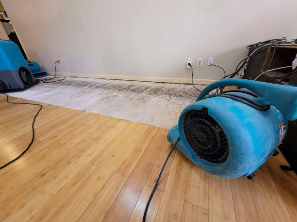 Reliable Basement Flood Cleanup contractor in Conover, OH by Hirex Water Damage