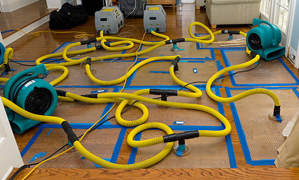 Professional Basement Flood Cleanup technician working in Conover, OH